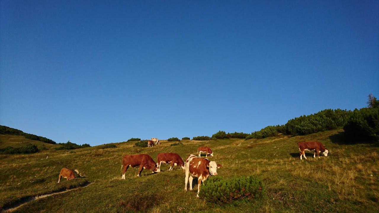 Pulvererhof Kramsach Buitenkant foto